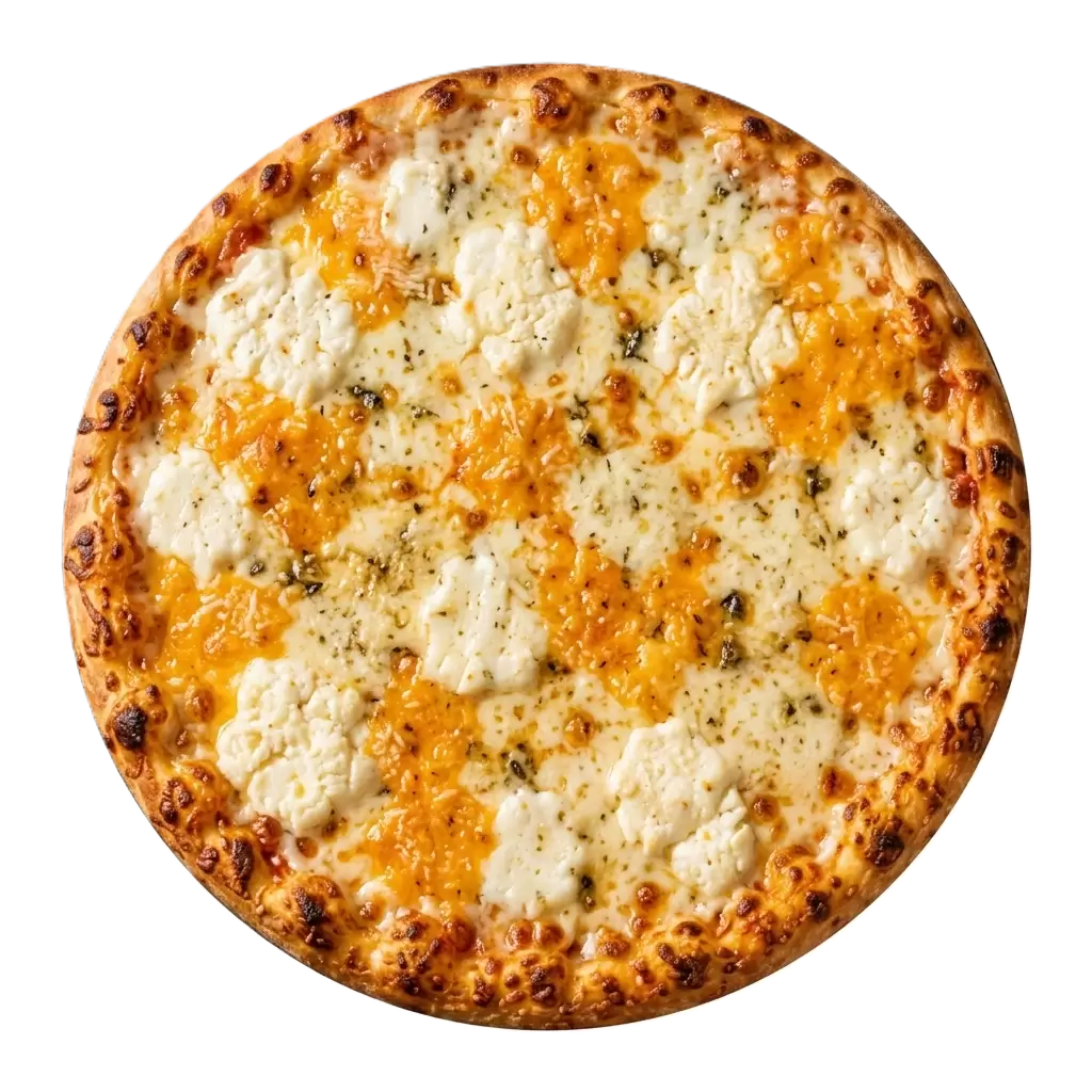PIZZA DÖRT PEYNİR